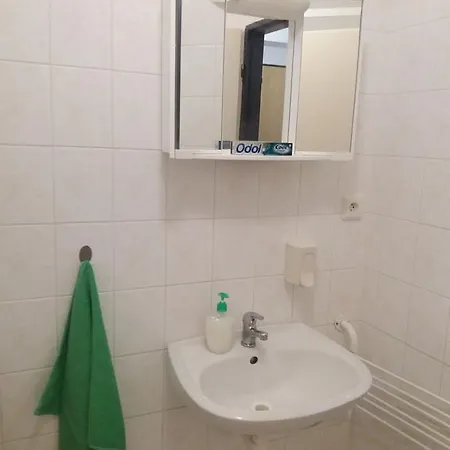 Apartman U Borovic アパート