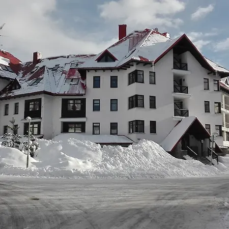 Apartman U Borovic * ハルラホフ