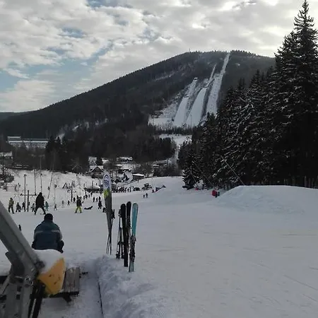 Apartman U Borovic Apartment Harrachov