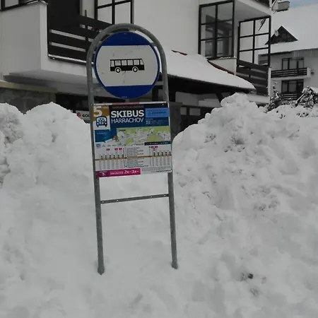 Apartman U Borovic アパート ハルラホフ
