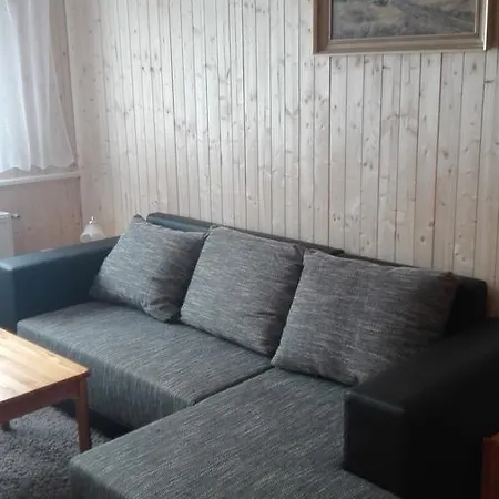 Apartman U Borovic アパート
