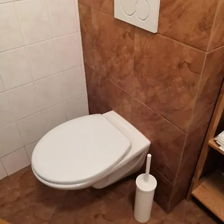 アパート Apartman U Borovic ハルラホフ