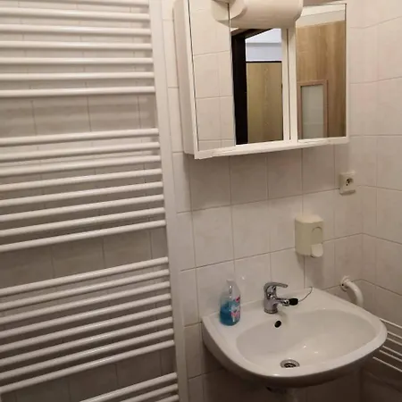 Apartman U Borovic アパート *