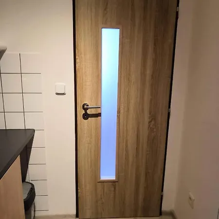 Apartman U Borovic * ハルラホフ